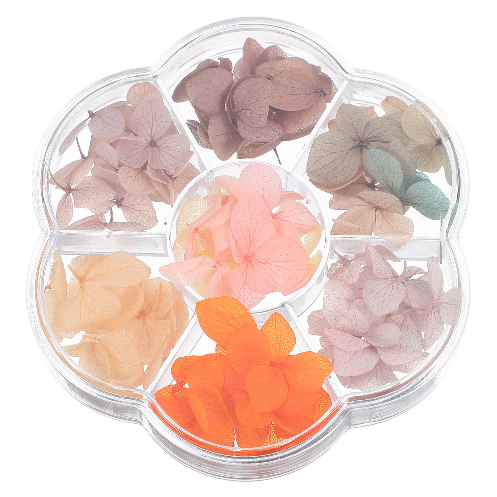 50 Pezzi di Foglie d'Acero Ess - Art And Craft Autumn recensione e prezzo